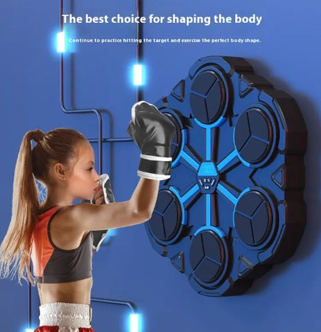 Image of Boxing Target Machine