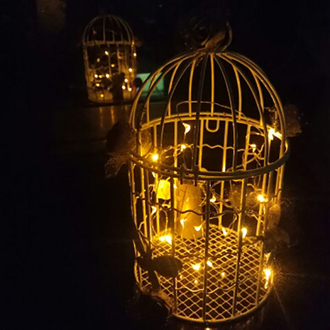 Image of BOTTLE LIGHTS