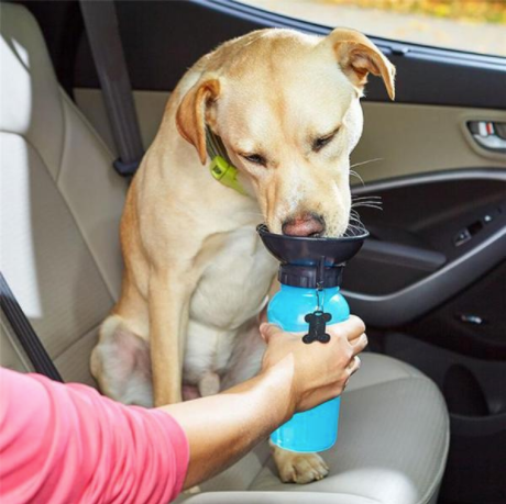 Image of H2o Dog Water Bottle