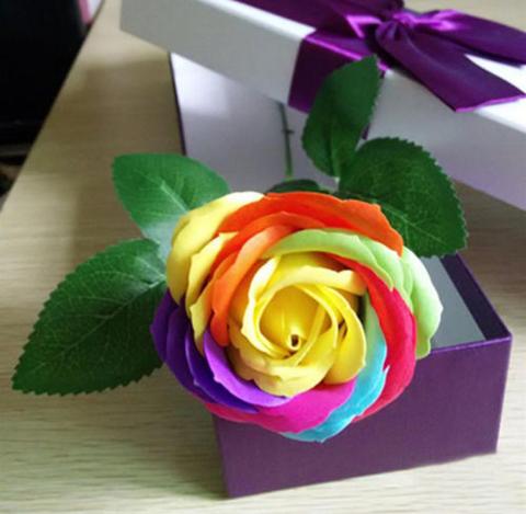 Image of 100 RARE RAINBOW ROSE FLOWER SEEDS WITH GIFT