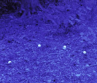 Image of Ballhawk?Golf Ball Find Glasses