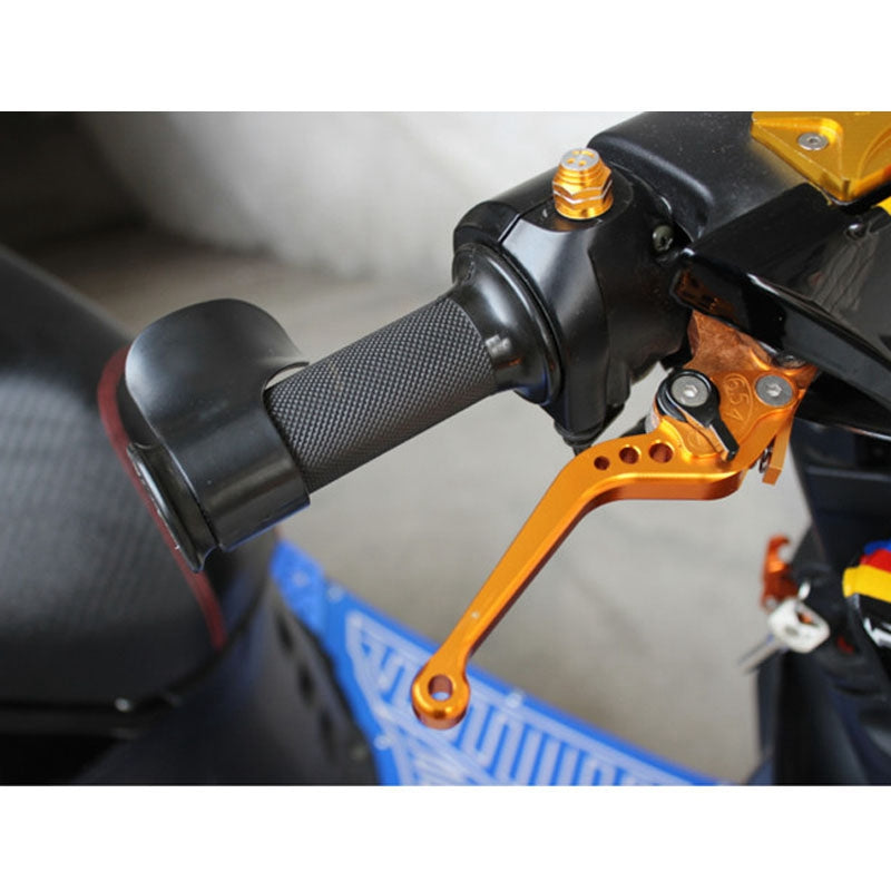 Throttle Mounted Cruise Assist