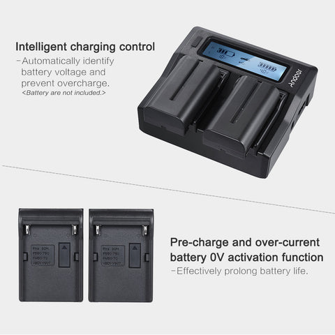 Image of Dual Digital Battery Charger