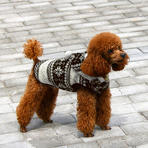Image of Christmas Winter Coat for Puppies and Cats