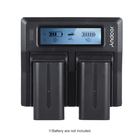 Image of Dual Digital Battery Charger
