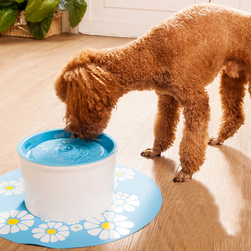 1.6L Flower Style Pet Water Drinking Fountain