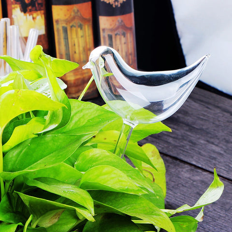 Image of Self-Watering Plant Glass Bulbs(2Pcs)