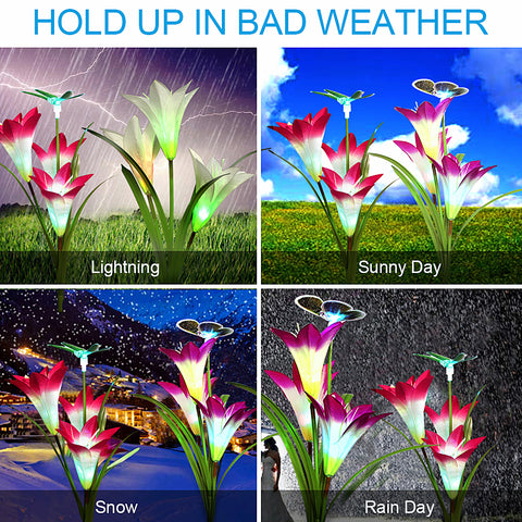 Image of Solar Powered Garden Light