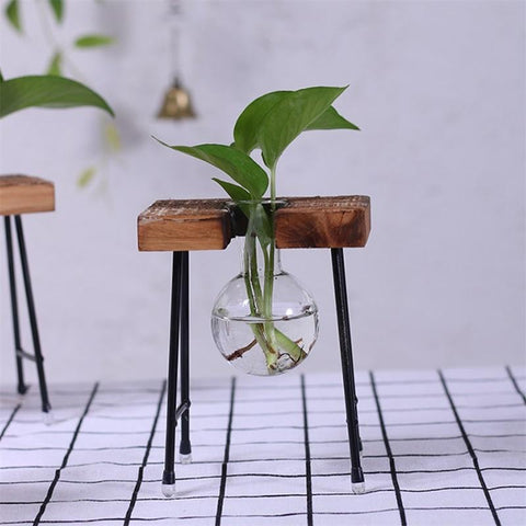 Image of Plant terrarium with wooden stand
