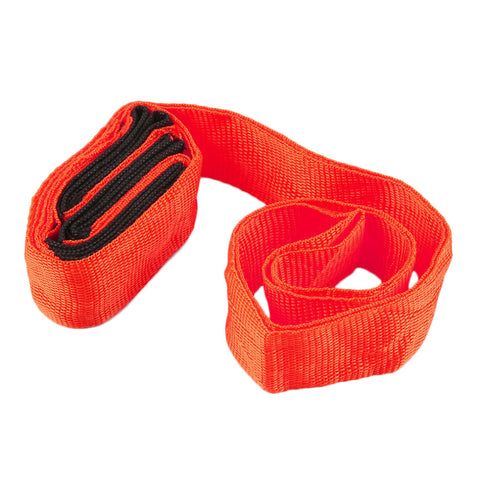 Image of Lifting Moving Strap