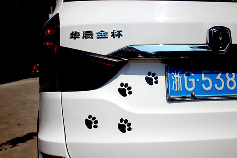 Image of Dog Cat Bear Foot Prints