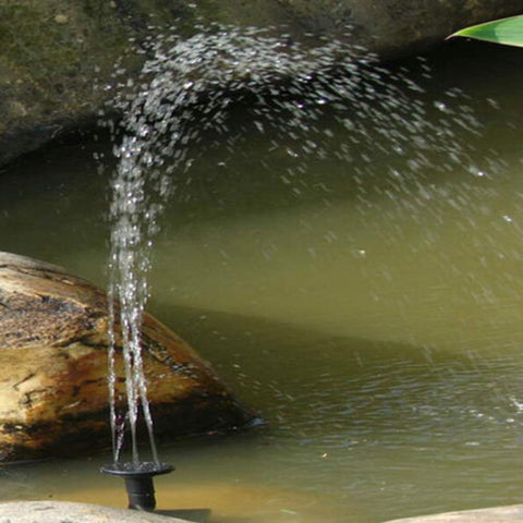 Image of Solar Powered Bird Fountain