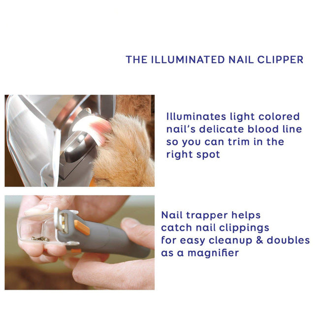 Professional Illuminated Pet Nail Clipper