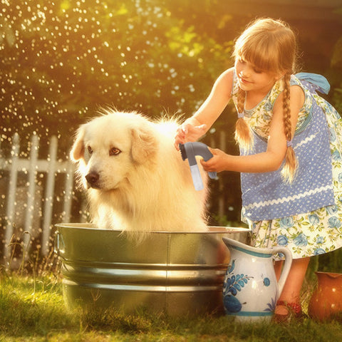 Image of Pet Handheld Vacuum Cleaner