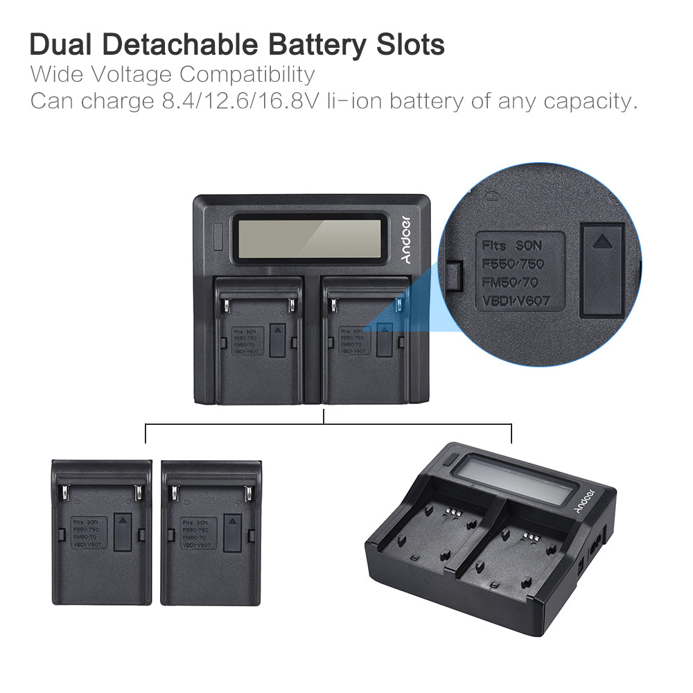 Dual Digital Battery Charger