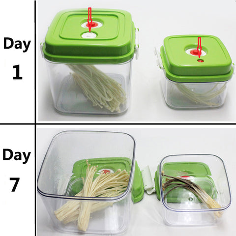 Image of Vacuum storage box (3 Pcs)