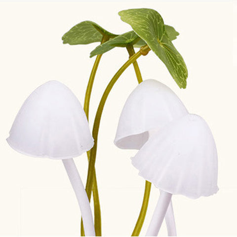 Image of Lucky Mushroom Night Light