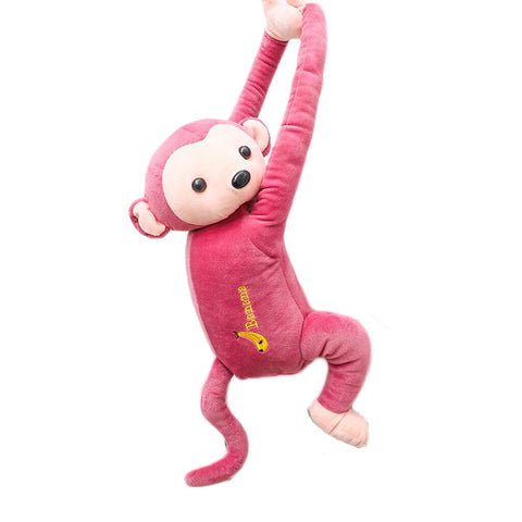 Image of Animal Tissue Holder