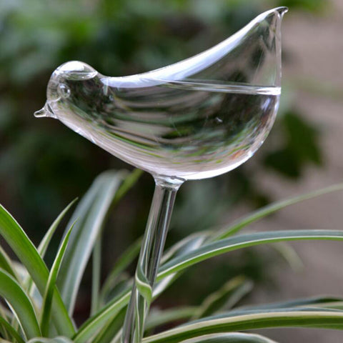 Image of Self-Watering Plant Glass Bulbs(2Pcs)