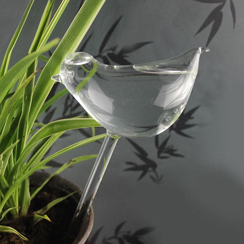 Image of Bird Self Watering Globe