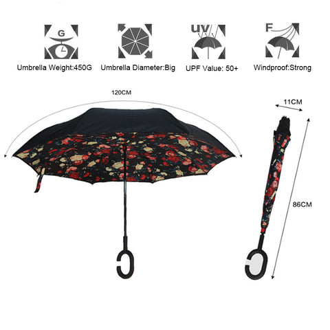Image of The Best Umbrella