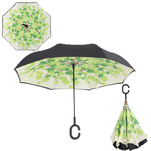 The Best Umbrella