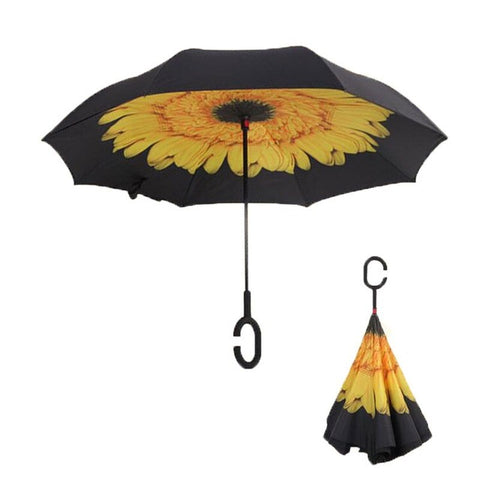 Image of The Best Umbrella