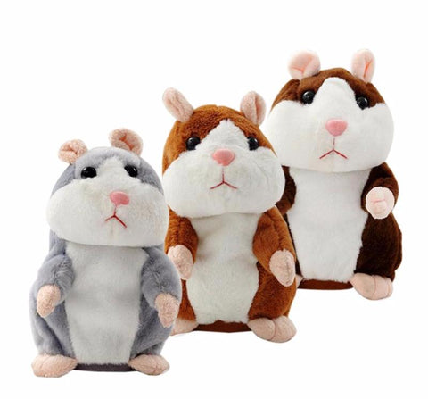 Image of Worlds funniest Hamster