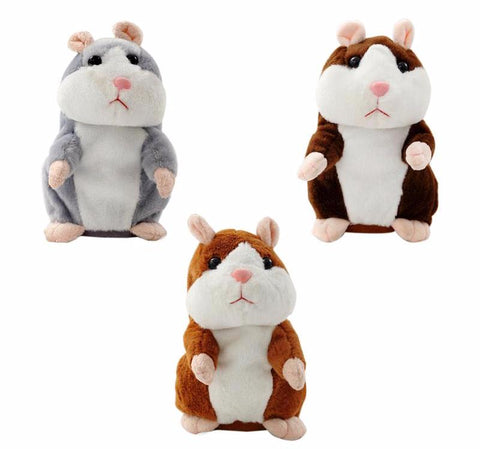 Image of Worlds funniest Hamster