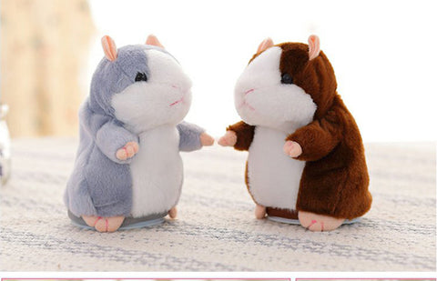 Image of Worlds funniest Hamster