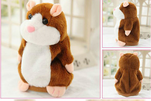 Image of Worlds funniest Hamster