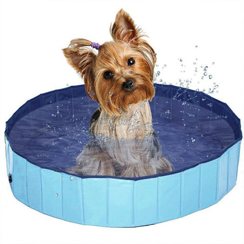 Image of Foldable Dog Swimming Pool