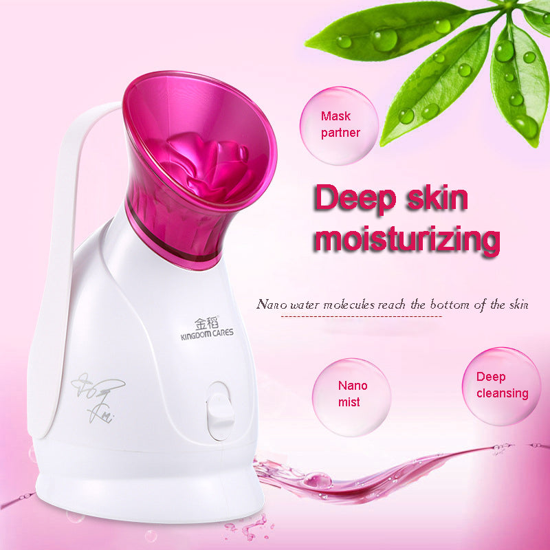 Deep Cleaning Facial Steamer