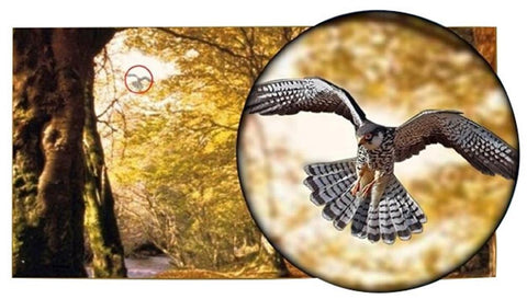 Image of Worlds Strongest Smartphone Lens