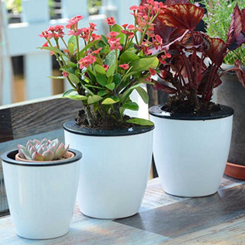 Image of Self Watering Flower Pot (Various Sizes)