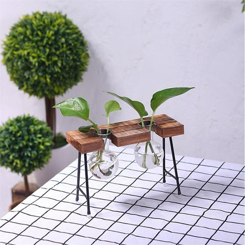 Image of Plant terrarium with wooden stand