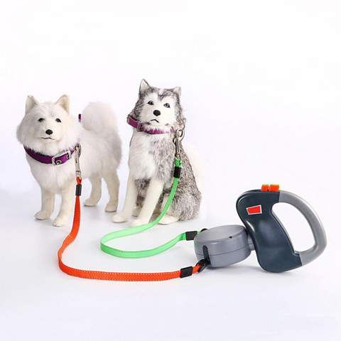Image of Dog Leash For Two