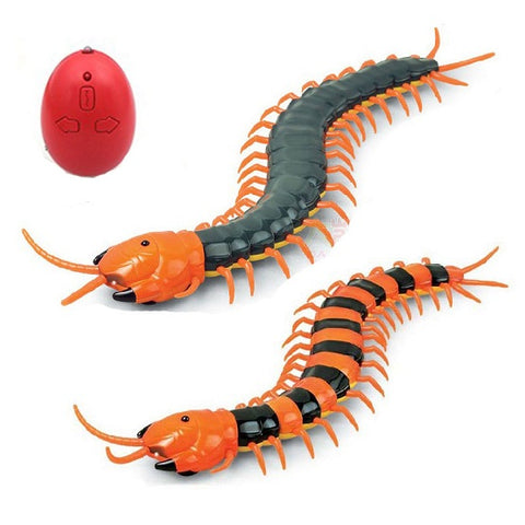 Image of CAT TOYS - REMOTE CONTROL INSECT