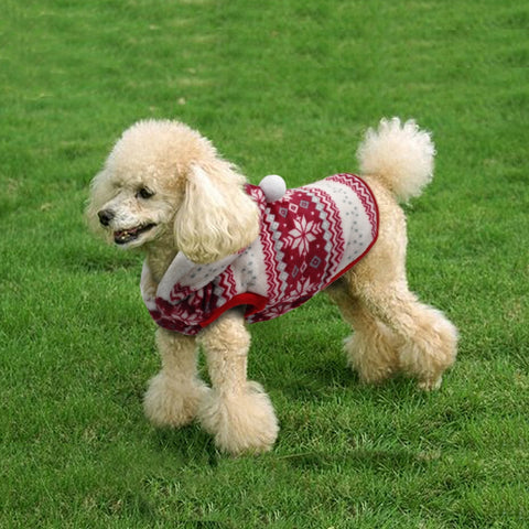 Image of Christmas Winter Coat for Puppies and Cats
