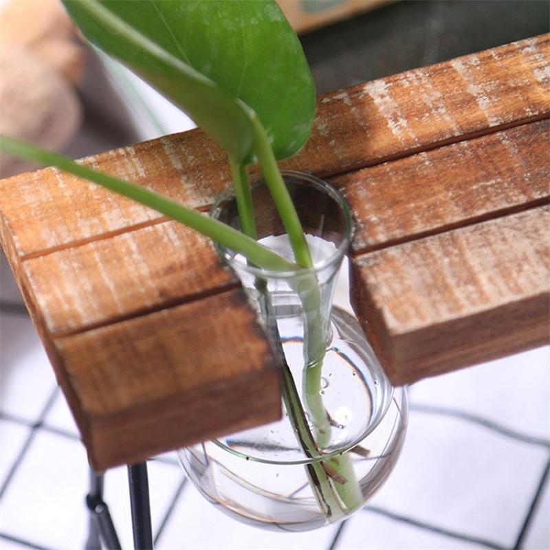 Plant terrarium with wooden stand