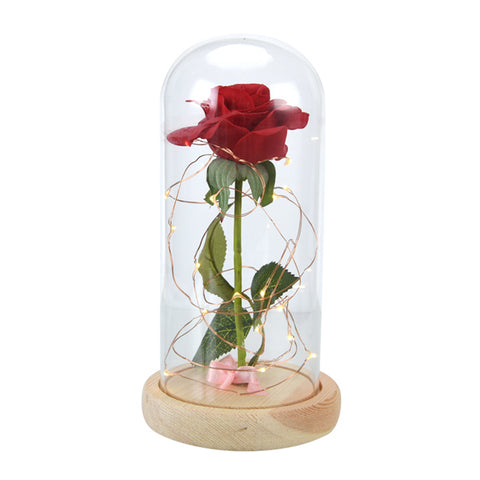 Image of Enchanted Rose Flower