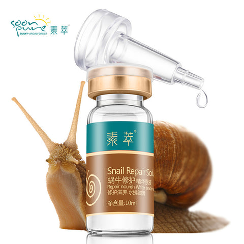 Rejuneating Snail Essence