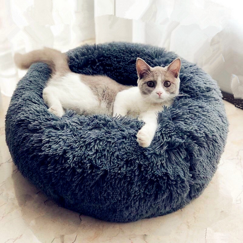 Deluxe Plush Bed