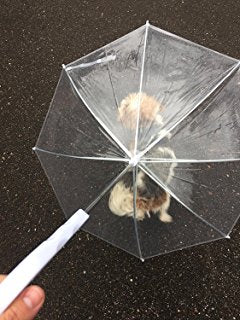 Image of SMALL DOG UMBRELLA WITH LEASH