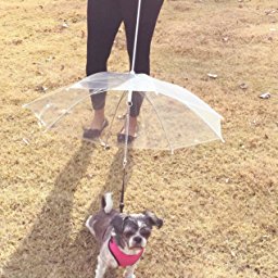 SMALL DOG UMBRELLA WITH LEASH