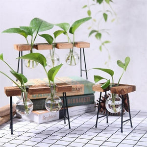 Plant terrarium with wooden stand