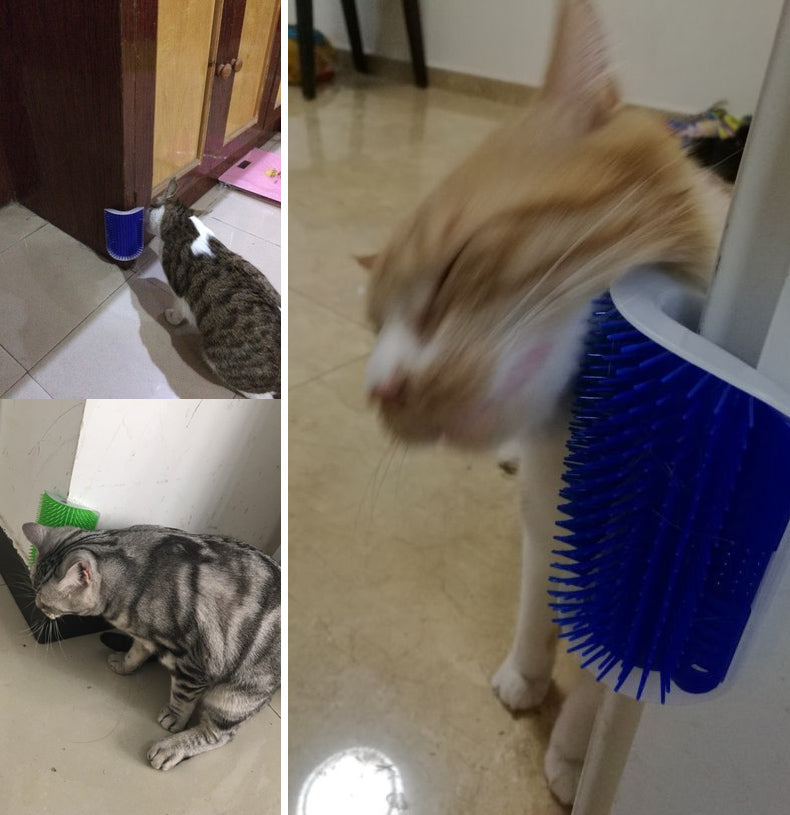 Cat Self-Grooming Brush