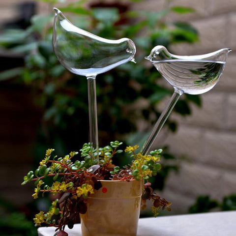 Image of Self-Watering Plant Glass Bulbs(2Pcs)