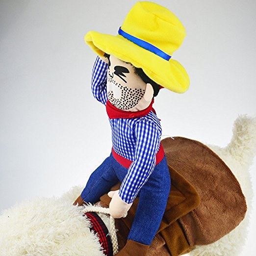 Ride Em' Cowboy Dog Costume