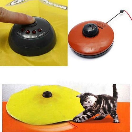 For All The Cats Who Love Mice